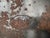 Large Antique Embossed Case, 1890s For Sale - Image 4 of 18