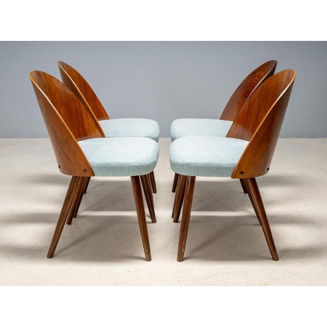 Wood Dining Chairs by Antonín Šuman for Tatra Furniture, Czechoslovakia, 1960s, Set of 4 For Sale - Image 7 of 13
