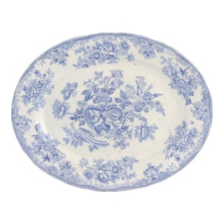 Antique Asiatic Pheasant Platter For Sale