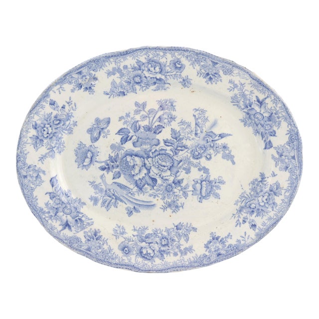 Antique Asiatic Pheasant Platter For Sale