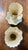Lenox Late 20th Century Set of 4, Lenox Certified Ivory Daffodil Vases For Sale - Image 4 of 12