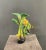 Wood Italian Botanical Sculpture, 1940s For Sale - Image 7 of 11
