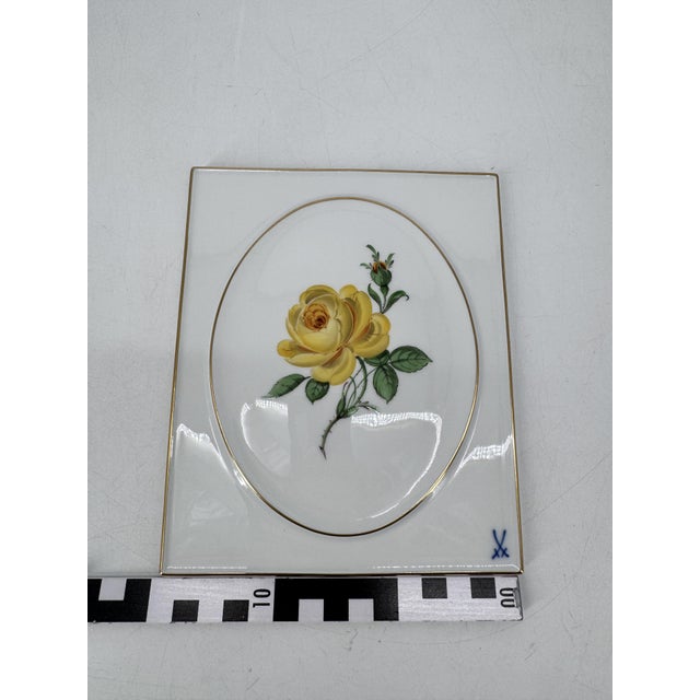 Painted Porcelain Plate from Meissen, 1960s For Sale - Image 9 of 10