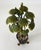 1980s Miniature Petit Choses Decorative Tole Potted Palm Tree in Urn With Lions Heads For Sale - Image 4 of 10