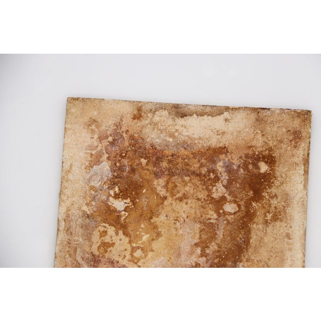 19th Century Set of Two Tiles Depicting Branches of Trees, Portuguese Baroque For Sale - Image 10 of 13