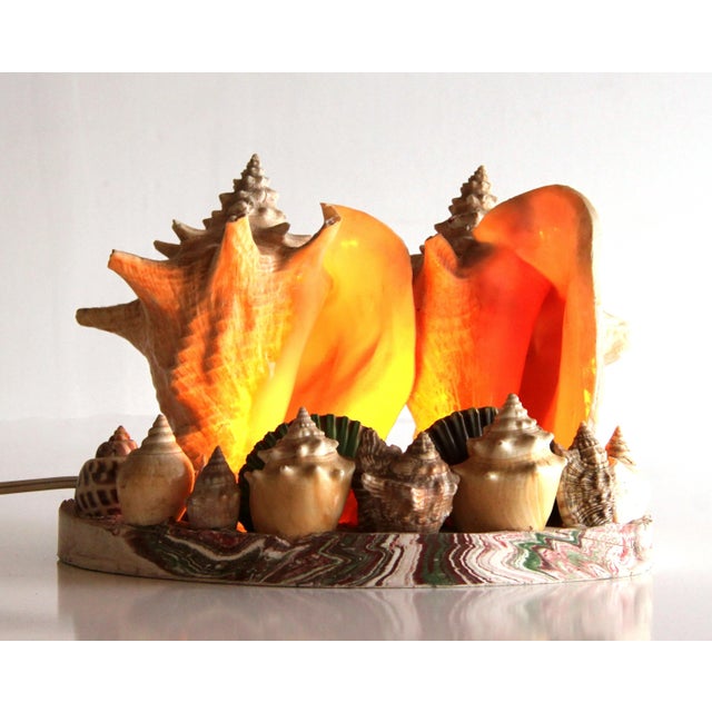 Fabulous vintage c.1970's natural double conch shell lamp! It is set into a cast resin base, beset with other shells as...