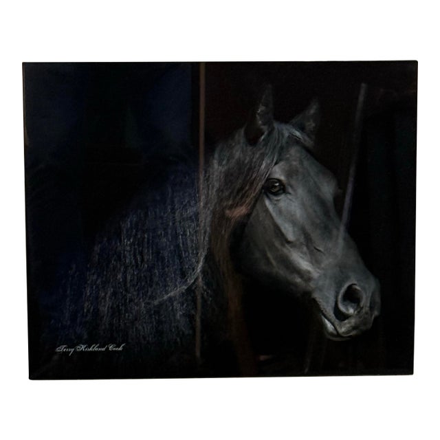Terry Kirkland Cook Friesian Ster Mare Brechtsje Acrylic Print For Sale