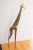 Vintage African Giraffe For Sale - Image 4 of 8