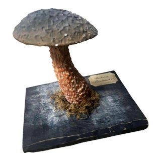Painted Plaster Model of a Mushroom, C 1900 For Sale