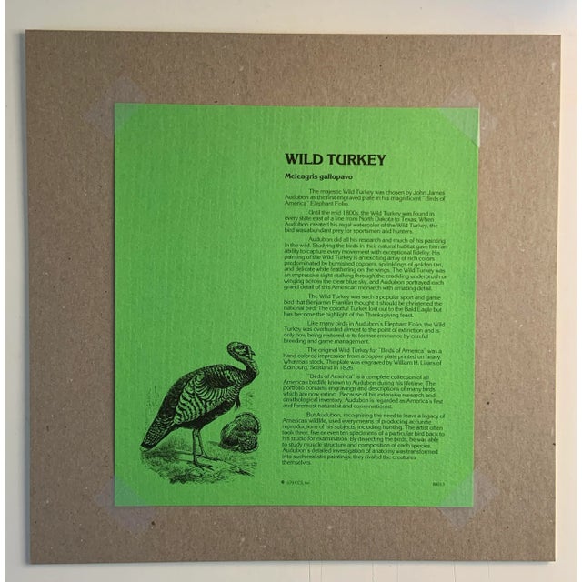 1979 Audubon Wild Turkey Stamps For Sale - Image 4 of 5