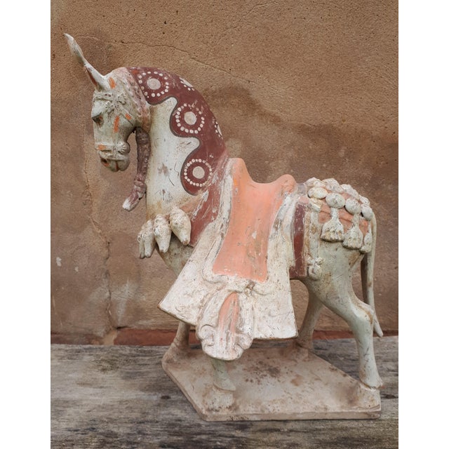 Chinese Northern Wei Dynasty Artist, Sculpture of Horse, Terracotta For Sale - Image 9 of 9
