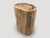 Brown Andrianna Shamaris Large Ancient Petrified Wood Side Table For Sale - Image 8 of 18