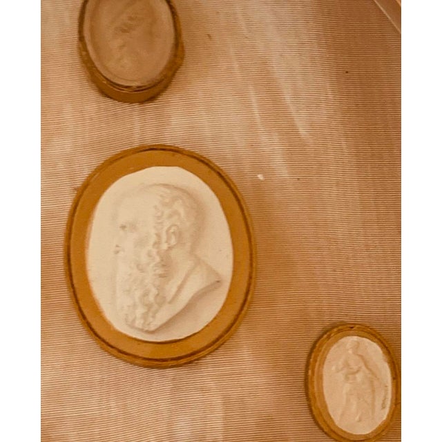 Sculpture Materials Framed Collection of Grand Tour Plaster Intaglios, 18th/19th Century — Shadow Box of Classical Cameos For Sale - Image 7 of 15