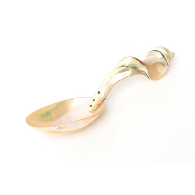 Contemporary Vintage Coastal Mother of Pearl Organic Modern Twisted Serving Spoon 1980's For Sale - Image 3 of 10