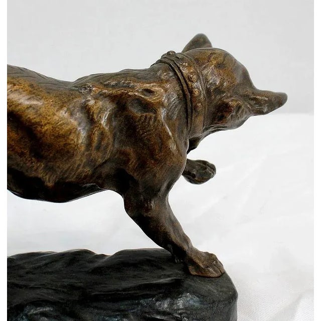 T.F. Cartier, German Shepherd Dog, Early 20th-Century, Bronze For Sale - Image 15 of 18