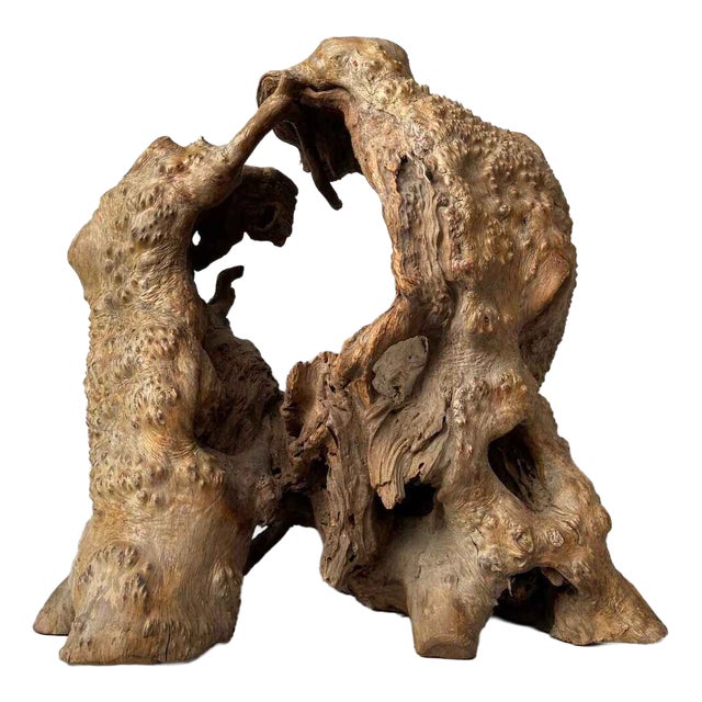 Wabi-Sabi Japanese Sculptural Root Wood Object, 1950s For Sale