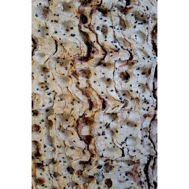 Ceramic Large Amphora by Claudi Casanovas, Spain, 1995 For Sale - Image 7 of 13