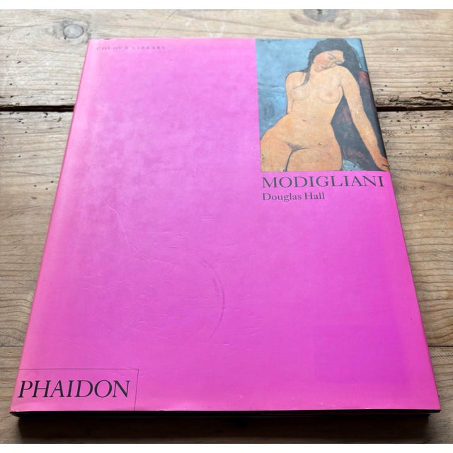Modigliani Art Book by Douglas Hall – Phaidon Colour Library, Pink Cover For Sale - Image 10 of 10