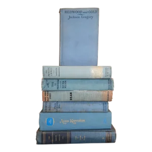 Vintage Library Book Stack Blue Gray Hardback Reader Novel