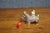 Scotty Dog Table Lighter For Sale In Philadelphia - Image 6 of 11