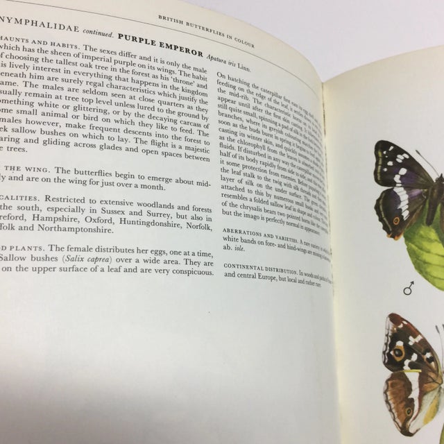 1968 British Butterflies in Colour Book For Sale - Image 9 of 13