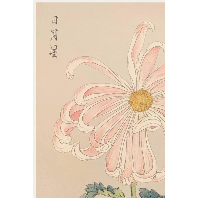 A beautifully restored reproduction of Keika hyakugiku, Plate 03 (1893) by Japanese artist Keika Hasegawa. Originally...