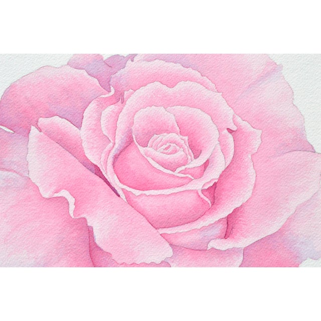 Pink Rose Floral Study by Barbara Gibson For Sale - Image 4 of 5