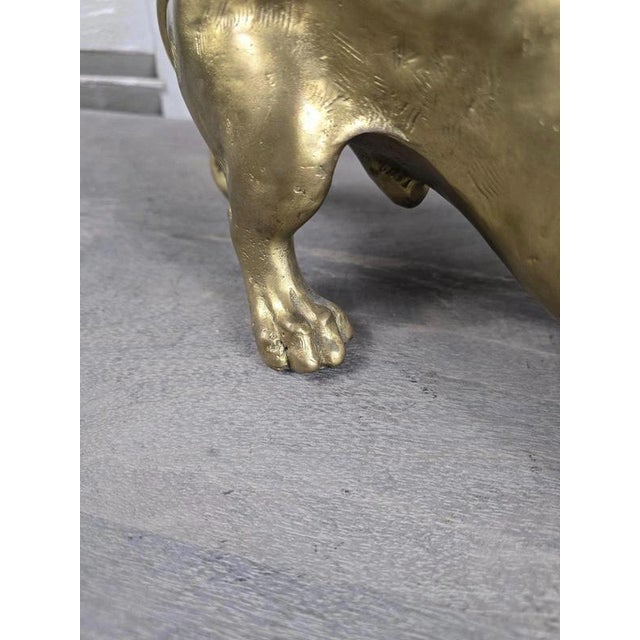 2000 - 2009 Bronze Dachshund Dog Sculpture with Polished Gold Finish For Sale - Image 5 of 14