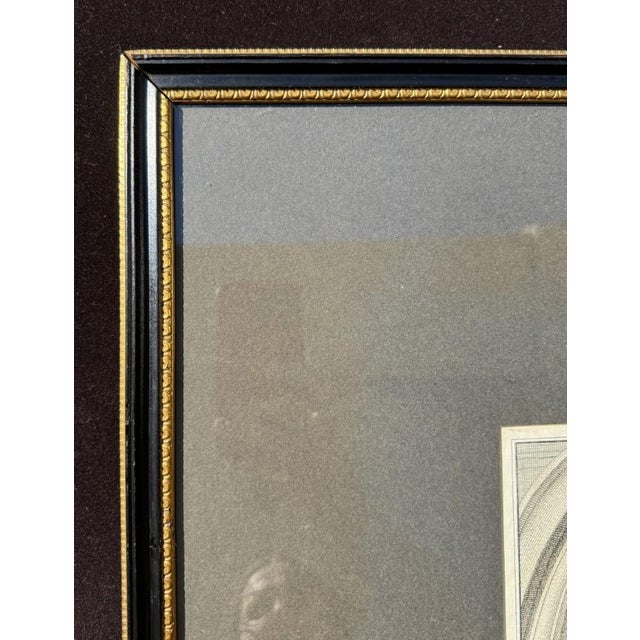 Glass 1741 Hand Colored Engraving of Henry Boyle, Lord Carleton by Jacobus Houbraken For Sale - Image 7 of 10