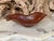 Andrianna Shamaris Sculptural Rare Ancient Teak Wood Bowl For Sale - Image 13 of 18