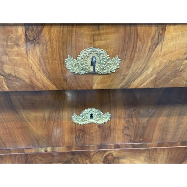 19th Century German Walnut Commode With Ebonized Details With Gilt Bronze Mounts For Sale In Dallas - Image 6 of 6