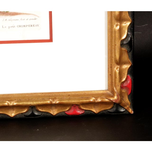 Johann Seligmann Set of Six Engravings of Water Birds For Sale - Image 9 of 10