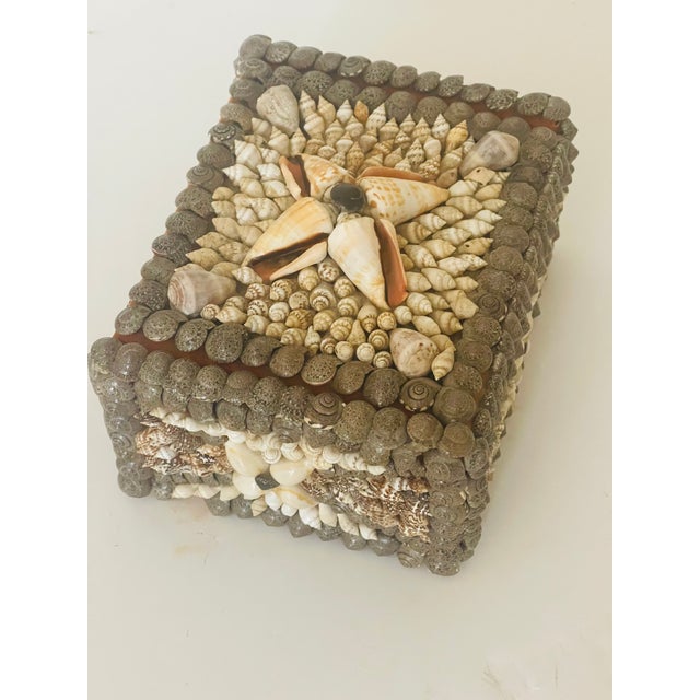 1920s Early 20 Th Century Sea Shell Encrusted Jewelry Box For Sale - Image 5 of 5