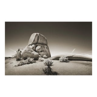 24" Signed Limited Edition Print by Glenn Daidone / Desertscape / Lunar For Sale