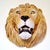 Large Lion's Head Wall Relief in Majolica Ceramic, Italy, 1960s For Sale - Image 10 of 17