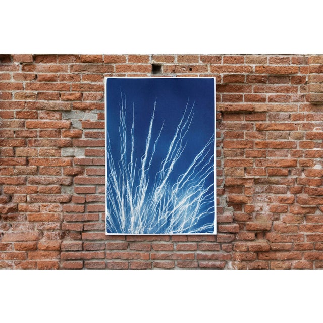 2020 Glowing Fireworks Lights, Handmade Limited Edition Cyanotype Print on Watercolor Paper For Sale In Miami - Image 6 of 12