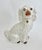 Antique 19th C White Staffordshire Spaniel Mantel Dogs - A Pair For Sale - Image 13 of 18