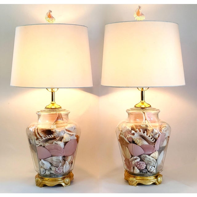 Lamp Pair Shells Seashells For Sale - Image 11 of 12