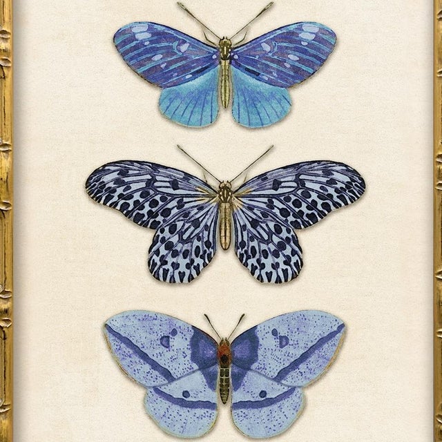 2020s Reproduction Vintage Blue Butterfly Art Print Set (Set of 2), Framed For Sale - Image 5 of 7