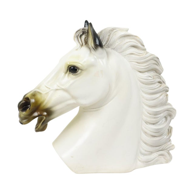 Large Classical Greek Style Parthenon Horse Bust in Plaster For Sale - Image 17 of 17