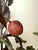 Italian Hand-Painted Fruit and Vine Chandelier with Pomegranates, 1970s For Sale - Image 11 of 16
