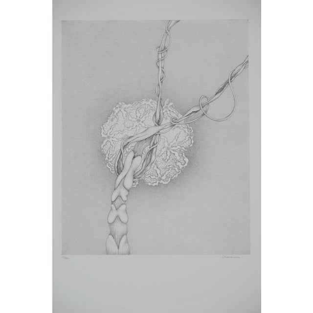 Gochka Charewicz, Eclosion, Lithograph For Sale