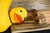 This artwork features a whimsical yet thought-provoking scene of a yellow rubber duck ensnared in a vintage mouse trap,...
