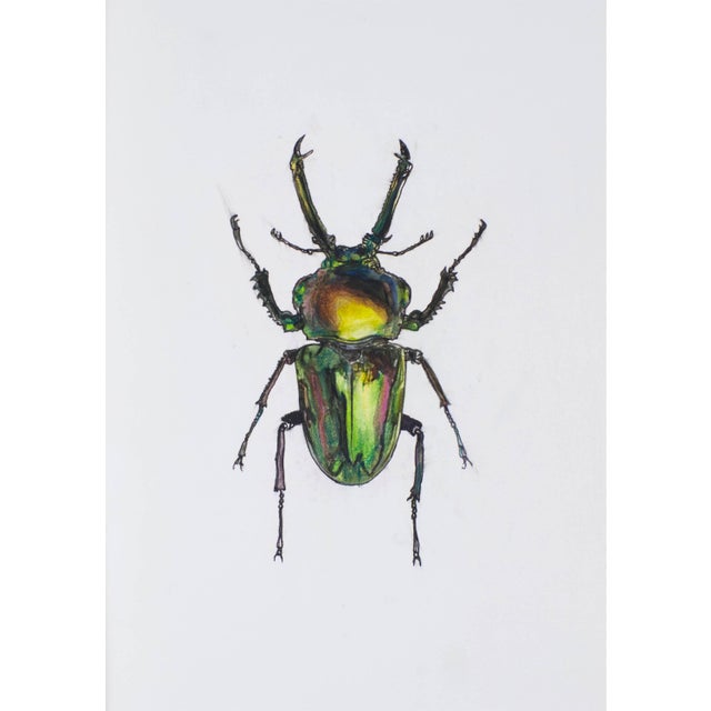 Contemporary Juris Utans, Green Claw Beetle, 2021, Mixed Media on Paper For Sale - Image 3 of 3