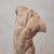 Classical Plaster Torso, 1960s, Plaster For Sale - Image 9 of 11