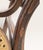 19th Century Antique Bentwood Beech and Cane Rocking Chair in the style of Thonet, 1890 For Sale - Image 5 of 18