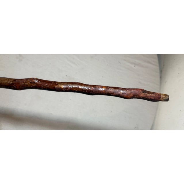 Antique 19th Century Hand Carved Wood Folk Art Alligator Walking Stick Cane For Sale - Image 11 of 14