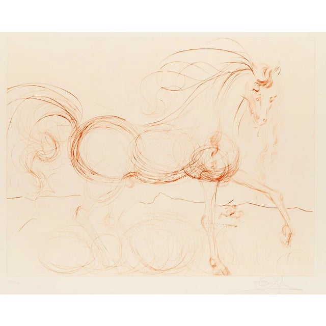 1970s Salvador Dali, L'Etalon Blanc (Hommage au cheval), 1974, Drypoint Etching For Sale - Image 5 of 6