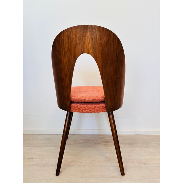 1960s Mid-Century Dining Chair by Antonin Suman for Ton, Former Czechoslovakia, 1960s For Sale - Image 5 of 10