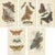 Lloyd, Various Moths, 1897, Prints, Set of 5 For Sale